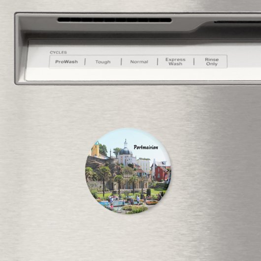 Portmeirion Center View Magnet (In Situ (Geschirrspüler))