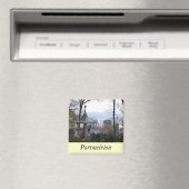 Portmeirion Magnet (In Situ (Geschirrspüler))