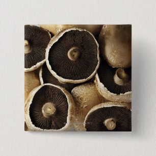 Portobello Pilze auf weißem Hintergrund Button
