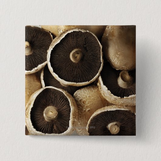 Portobello Pilze im weißen Hintergrund Button (Vorderseite)