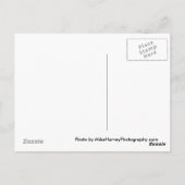 Portofino Italien Geschäft vorne Postkarte (Rückseite)