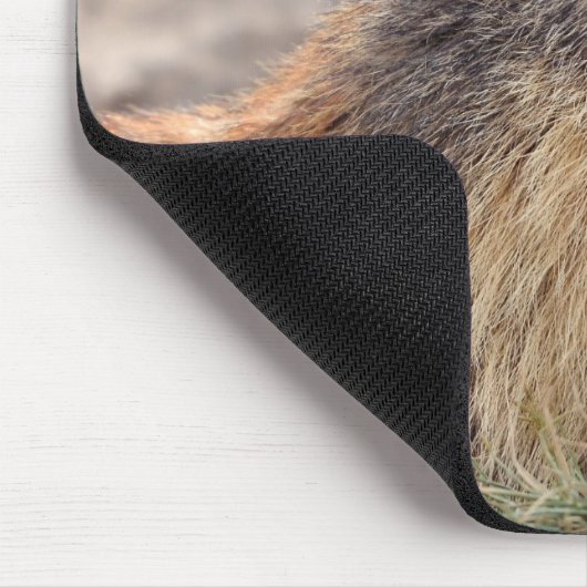 Portrait Alp Marmot Mousepad (Ecke)