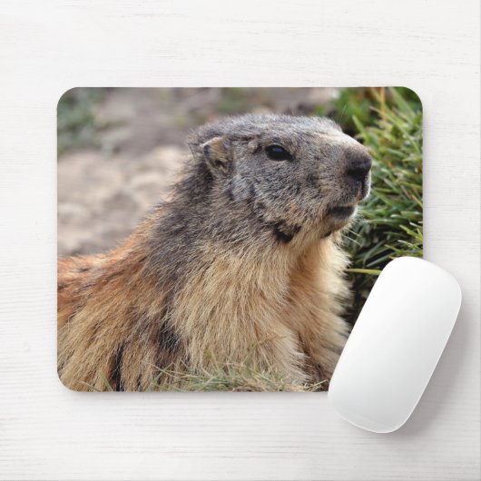 Portrait Alp Marmot Mousepad (Mit Mouse)