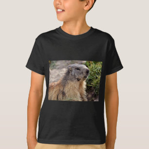 Portrait Alp Marmot T-Shirt