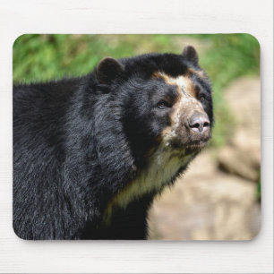 Portrait Andean Mousepad