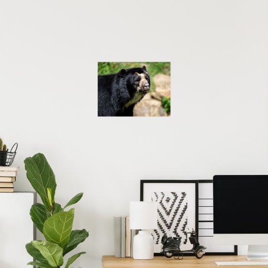 Portrait Andean Poster (Heimbüro)