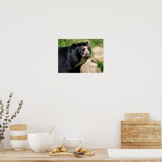 Portrait Andean Poster (Küche)