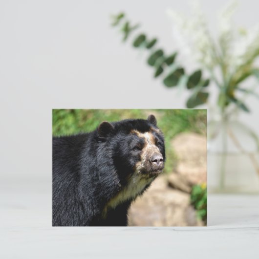 Portrait Andean Postkarte (Stehend Vorderseite)