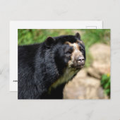 Portrait Andean Postkarte (Vorne/Hinten)