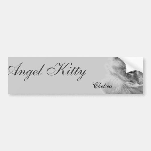 Portrait "Angel Kitty" Autoaufkleber (Vorne)