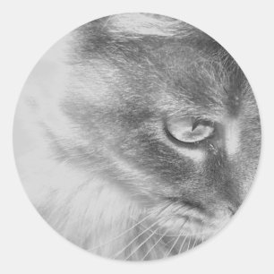 Portrait "Angel Kitty" Runder Aufkleber