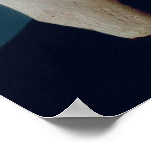 Portrait aus den Gräbern der Gizeh Poster (Ecke)