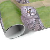 Portrait aus grauem Eule, Postkartenaufkleber Geschenkpapier (Rolleneckpunkt)