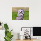 Portrait aus grauem Eule, Postkartenaufkleber Poster (Heimbüro)