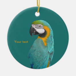 Portrait "Blue and Gold Macaw" personalisieren Keramik Ornament