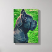 Portrait Cane Corso Leinwanddruck (Vorderseite)