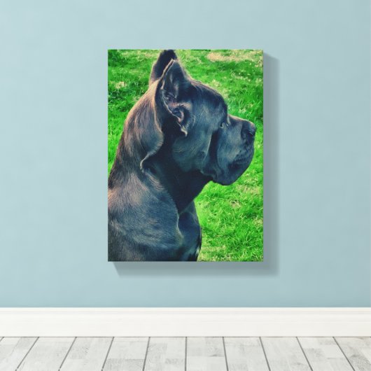 Portrait Cane Corso Leinwanddruck (Insitu (Holzboden))