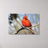 Portrait Canvas, Kardinal Nord Leinwanddruck (Vorderseite)