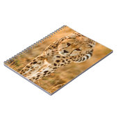 Portrait Cheetah (Acinonyx Jubatus), Massai Notizblock (Linke Seite)