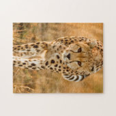 Portrait Cheetah (Acinonyx Jubatus), Massai Puzzle (Horizontal)