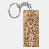 Portrait Cheetah (Acinonyx Jubatus), Massai Schlüsselanhänger (Vorderseite links)