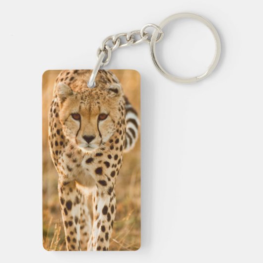 Portrait Cheetah (Acinonyx Jubatus), Massai Schlüsselanhänger (Rückseite)