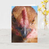 Portrait "Chicken Macro Fotografy" Karte (Gelbe Blume)