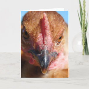 Portrait "Chicken Macro Fotografy" Karte