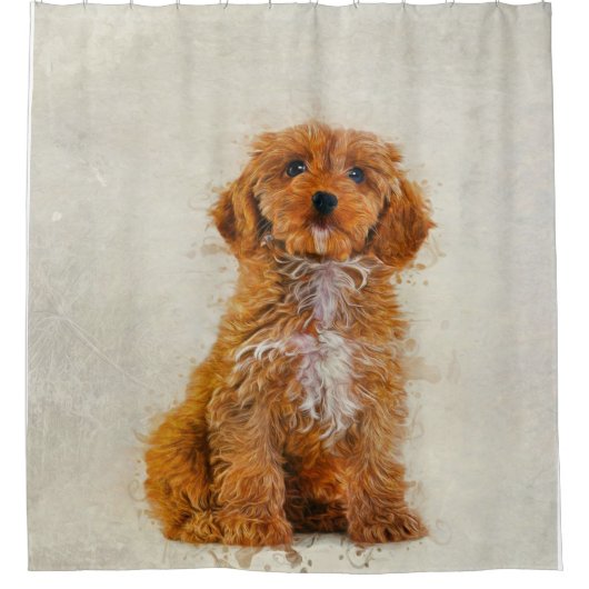 Portrait Cockapoo Foto | Hund Lover Duschvorhang (Vorderseite)