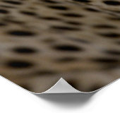 Portrait der afrikanischen Geparden Poster (Ecke)