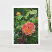 Portrait der Blume Rosa und Gelb Karte (Vorderseite)