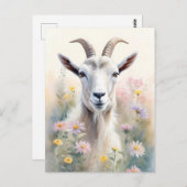 Portrait der Blume "Weichpastel" Postkarte (Vorne/Hinten)