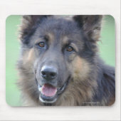 Portrait der deutschen Sheppard Mousepad (Vorne)