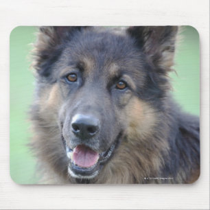 Portrait der deutschen Sheppard Mousepad