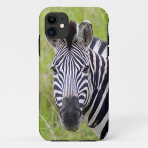 Portrait der Ebenen Zebra, Hluhluwe-Umfolozi-Spiel Case-Mate iPhone Hülle