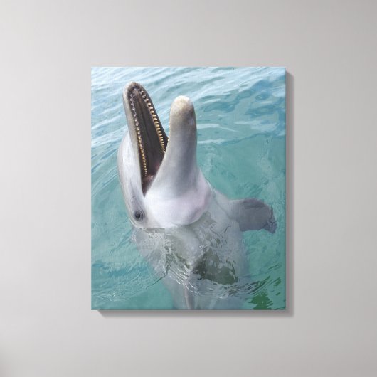 Portrait der Gemeinen Bottlenose-Dolphin, Karibik Leinwanddruck (Vorderseite)
