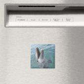 Portrait der Gemeinen Bottlenose-Dolphin, Karibik Magnet (In Situ (Geschirrspüler))