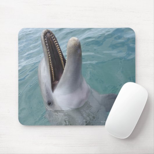 Portrait der Gemeinen Bottlenose-Dolphin, Karibik Mousepad (Mit Mouse)