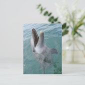 Portrait der Gemeinen Bottlenose-Dolphin, Karibik Postkarte (Stehend Vorderseite)