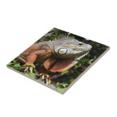 Portrait der grünen Leguane Fliese (Seite)