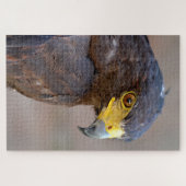Portrait der Harris Hawk Postkarte Puzzle (Horizontal)