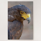 Portrait der Harris Hawk Postkarte Puzzle (Vertikal)