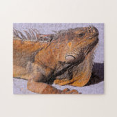 Portrait der Iguana Puzzle (Horizontal)