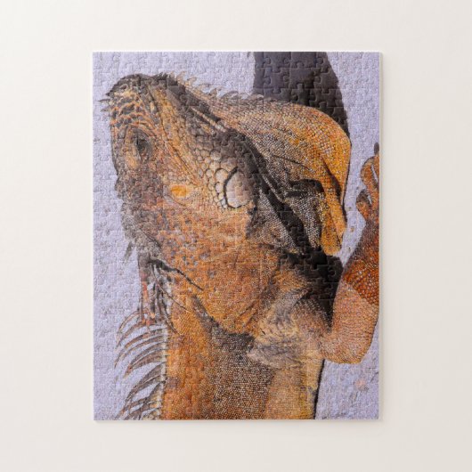 Portrait der Iguana Puzzle (Vertikal)