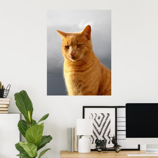 Portrait der Ingwerkatze Merlin Poster (Heimbüro)