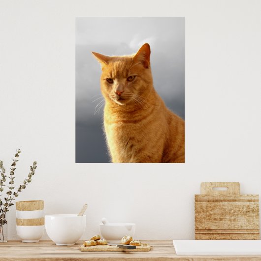 Portrait der Ingwerkatze Merlin Poster (Küche)