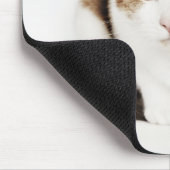 Portrait der Katze Calico Mousepad (Ecke)