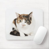 Portrait der Katze Calico Mousepad (Mit Mouse)