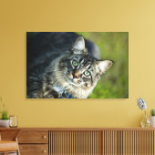 Portrait der Katze im Freien Leinwanddruck (Insitu (Wohnzimmer))