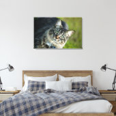 Portrait der Katze im Freien Leinwanddruck (Insitu (Schlafzimmer))